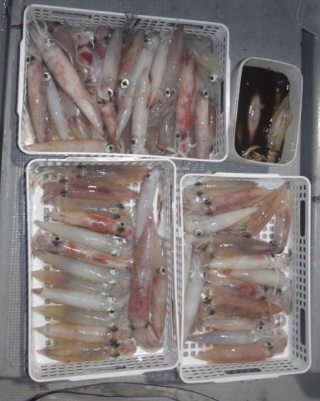 渡船屋たにぐち 釣果