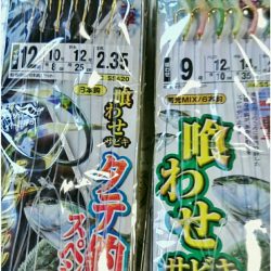 ブルースフィッシングサービス 釣果