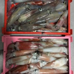 渡船屋たにぐち 釣果