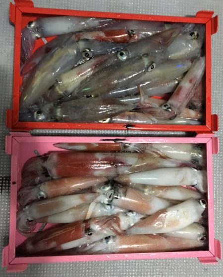 渡船屋たにぐち 釣果