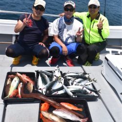 渡船屋たにぐち 釣果