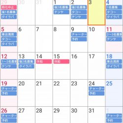 遊漁船　家入 釣果