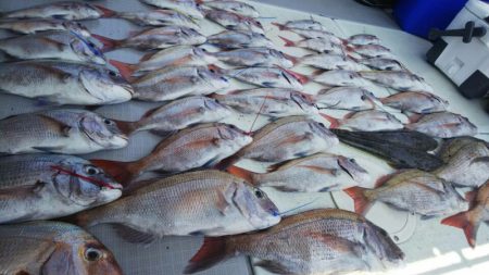 タイラバ遊漁船 ワンピース 釣果