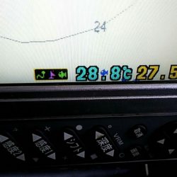 タイラバ遊漁船 ワンピース 釣果