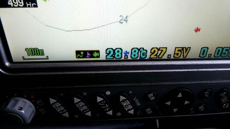 タイラバ遊漁船 ワンピース 釣果