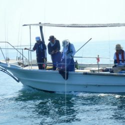 タイラバ遊漁船 ワンピース 釣果