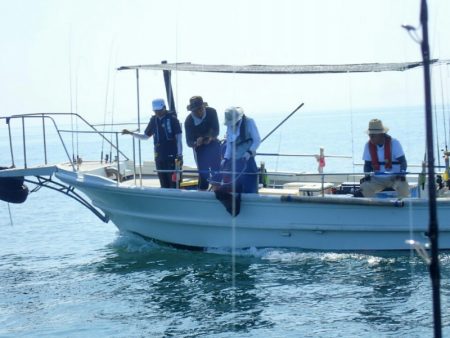 タイラバ遊漁船 ワンピース 釣果