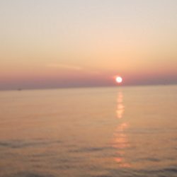 第二龍勢丸 釣果