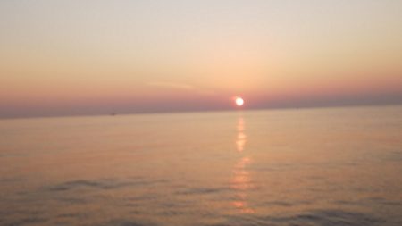 第二龍勢丸 釣果