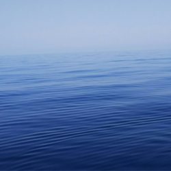 第二龍勢丸 釣果