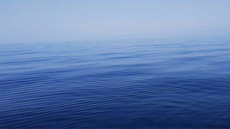 第二龍勢丸 釣果