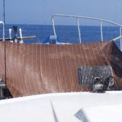 第二龍勢丸 釣果