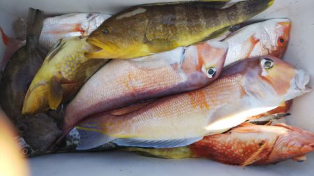 第二龍勢丸 釣果