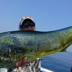 第三共栄丸 釣果