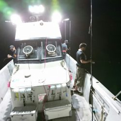 ブルースフィッシングサービス 釣果