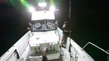 ブルースフィッシングサービス 釣果