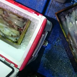 海龍丸(石川) 釣果