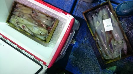 海龍丸(石川) 釣果