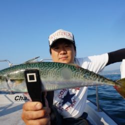 Chase（チェイス） 釣果