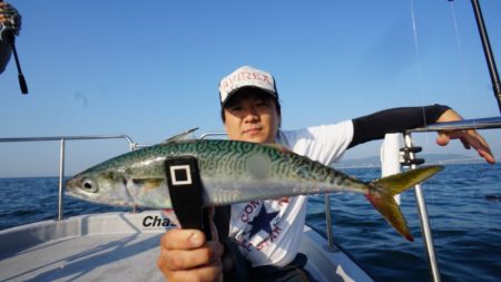 Chase（チェイス） 釣果