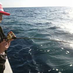 海皇丸 釣果