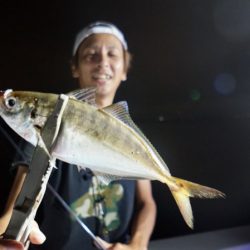 Chase（チェイス） 釣果