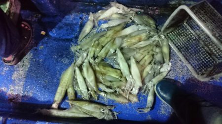 海龍丸（石川） 釣果