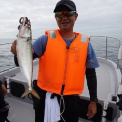 Chase（チェイス） 釣果