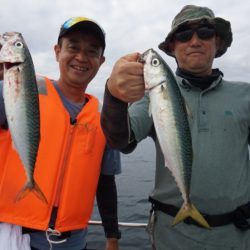 Chase（チェイス） 釣果