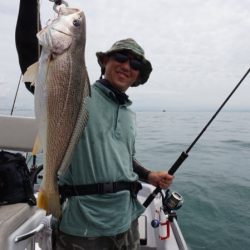 Chase（チェイス） 釣果