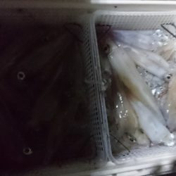海皇丸 釣果