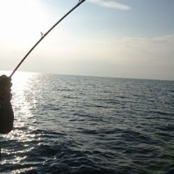 海皇丸 釣果