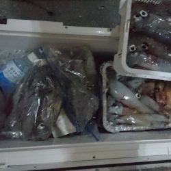 海皇丸 釣果