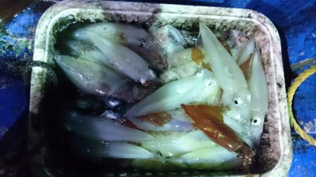 海龍丸（石川） 釣果