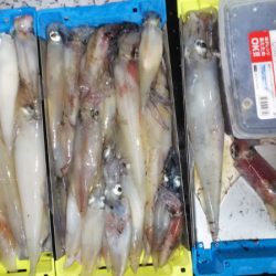 第二龍勢丸 釣果