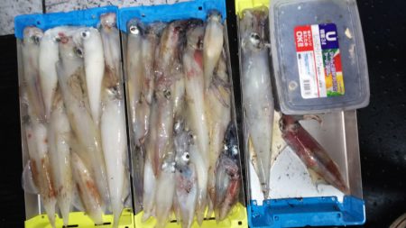 第二龍勢丸 釣果