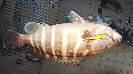 第二龍勢丸 釣果