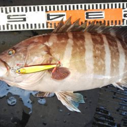 第二龍勢丸 釣果