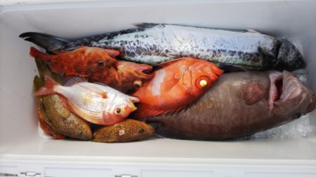 第二龍勢丸 釣果