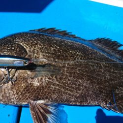 第三共栄丸 釣果