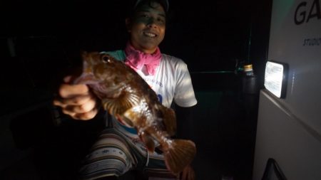 Chase（チェイス） 釣果