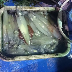 海龍丸(石川) 釣果