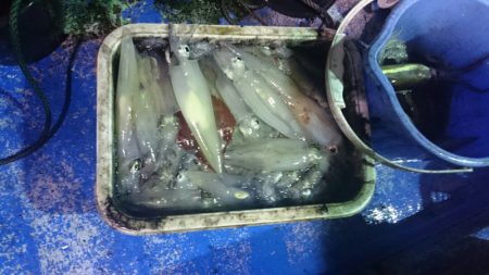 海龍丸(石川) 釣果