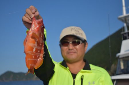 渡船屋たにぐち 釣果