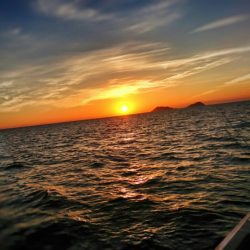 ブルースフィッシングサービス 釣果