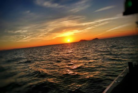 ブルースフィッシングサービス 釣果