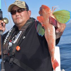 渡船屋たにぐち 釣果