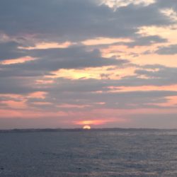 渡船屋たにぐち 釣果