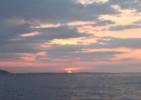 渡船屋たにぐち 釣果