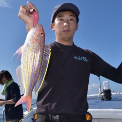 渡船屋たにぐち 釣果